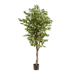Ficus Boom deluxe 170cm - Huren - Zijde