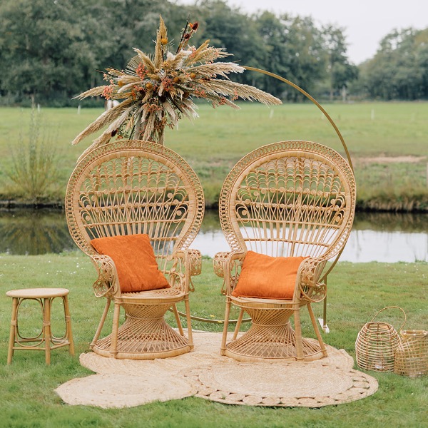Backdrop Goud Rond